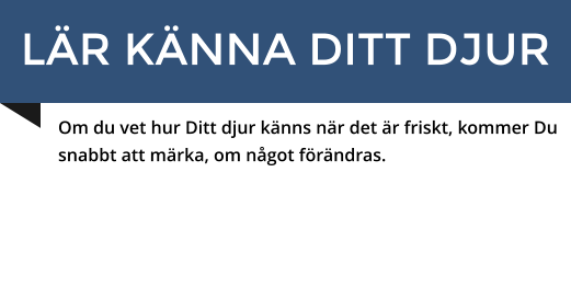 LÄR KÄNNA DITT DJUR Om du vet hur Ditt djur känns när det är friskt, kommer Du snabbt att märka, om något förändras.