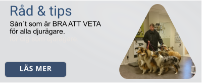 Råd & tips Sån´t som är BRA ATT VETA för alla djurägare. för dig som djurägare. LÄS MER LÄS MER