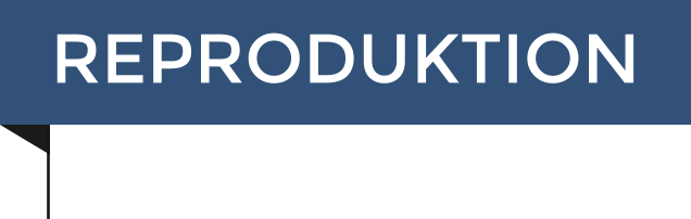 REPRODUKTION