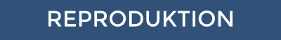 REPRODUKTION